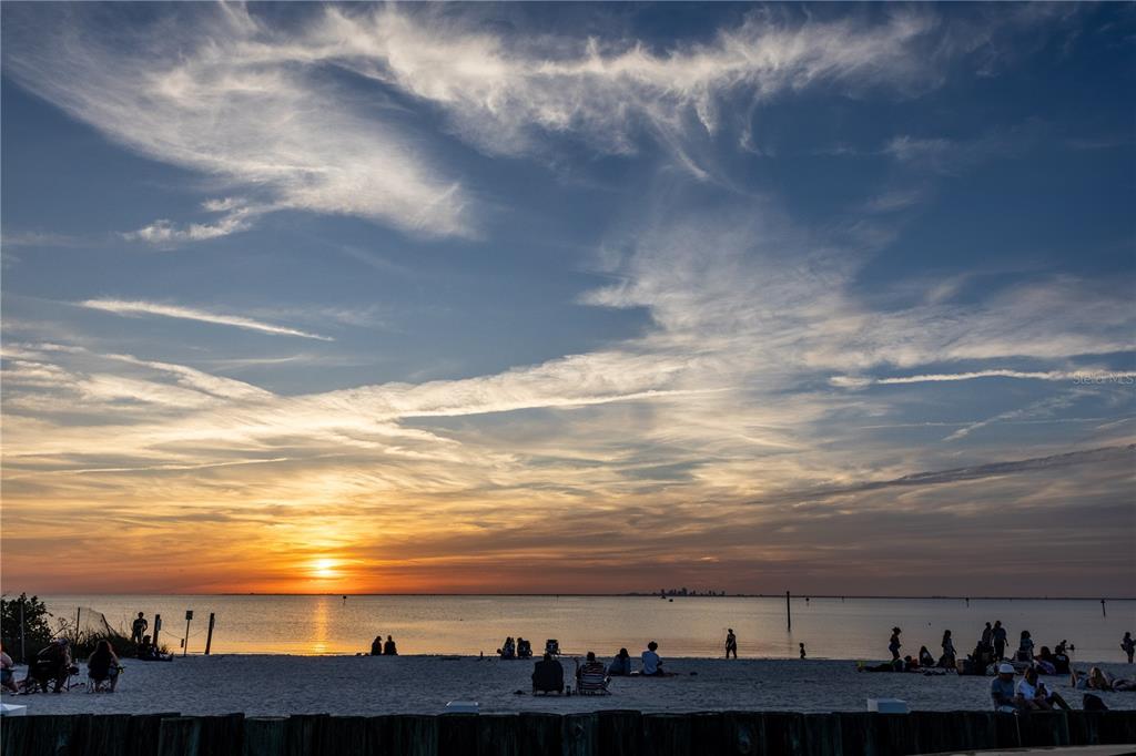 3210 Mangrove Point Drive Ruskin, FL 33570 - Photo 47 of 48