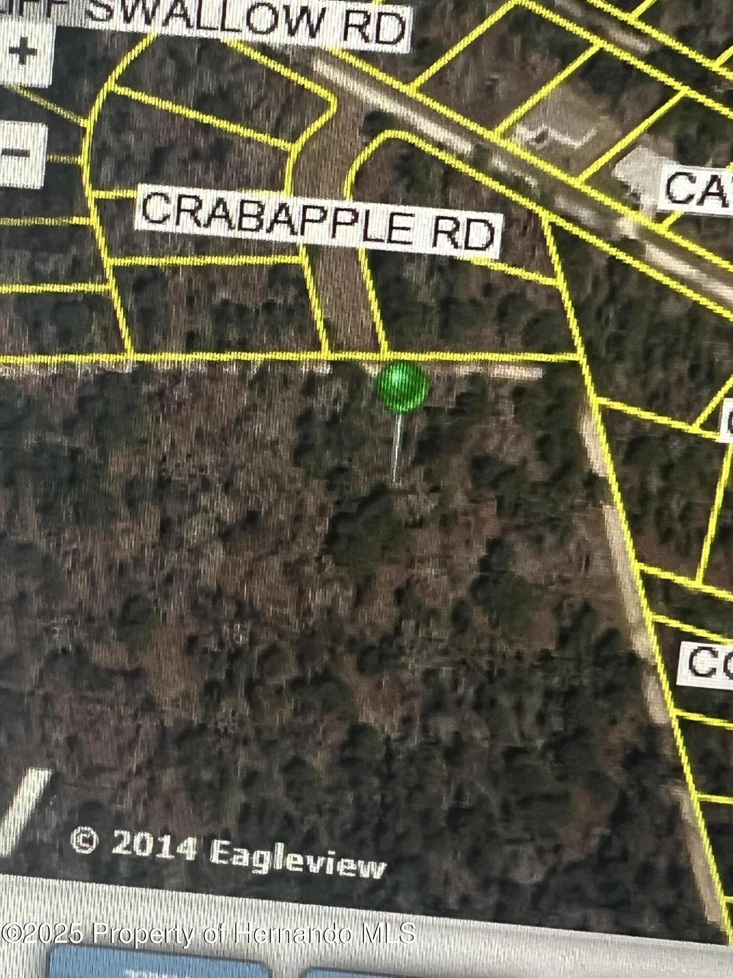 0 Crabapple Road Weeki Wachee, FL 34614 - Photo 3 of 6