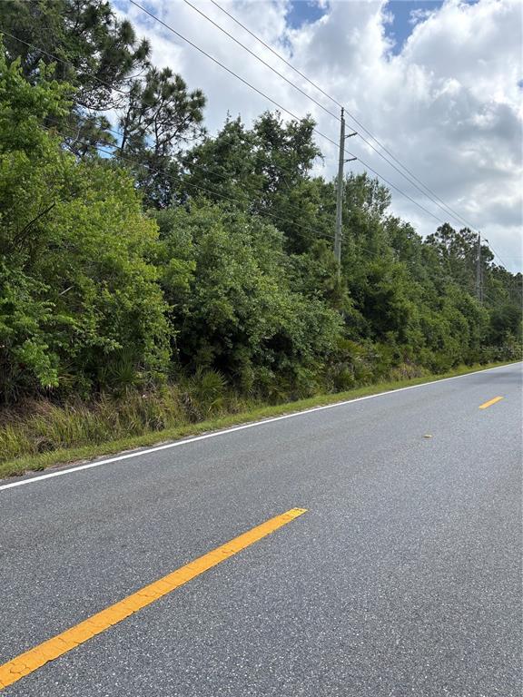 East Osceola Road Geneva, FL 32732 - Photo 3 of 4