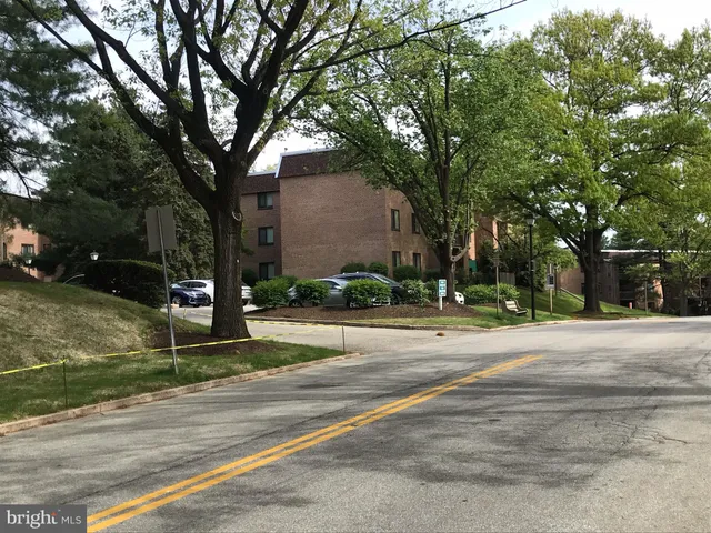 a view of a trees in front of a brick building