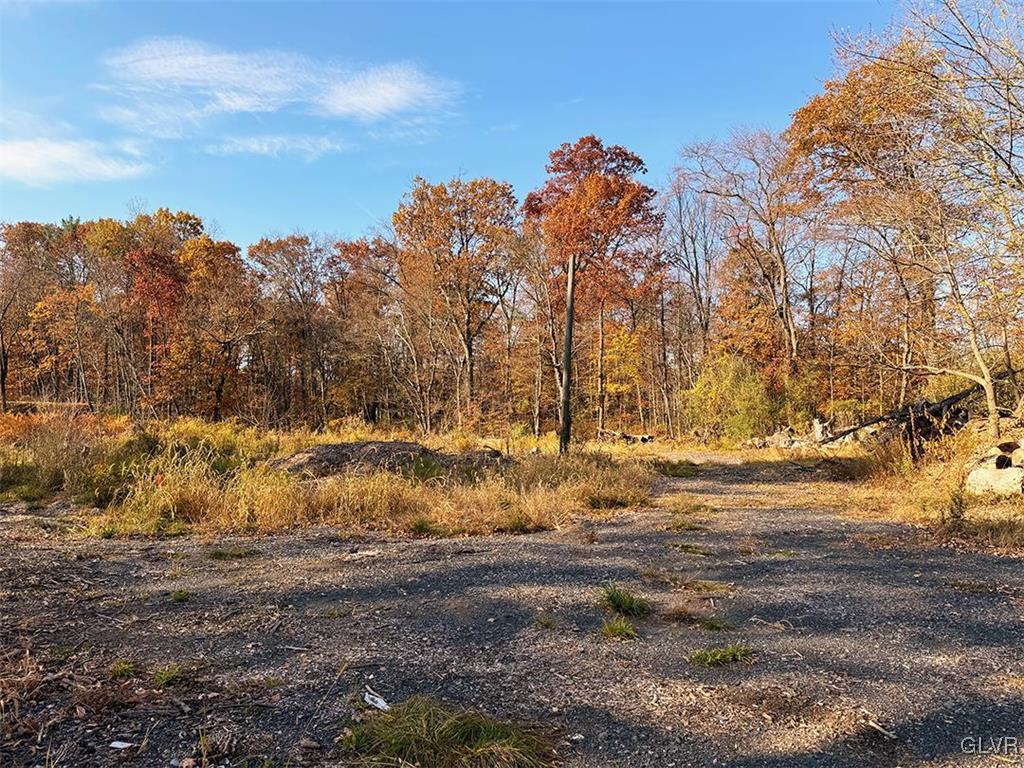 455 West Moorestown Road Nazareth, PA 18064 - Photo 3 of 11 a view of dirt yard with a large tree