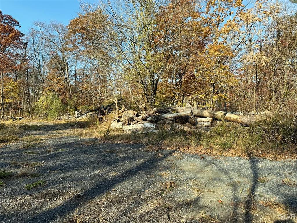 455 West Moorestown Road Nazareth, PA 18064 - Photo 5 of 11 a view of a yard with large trees