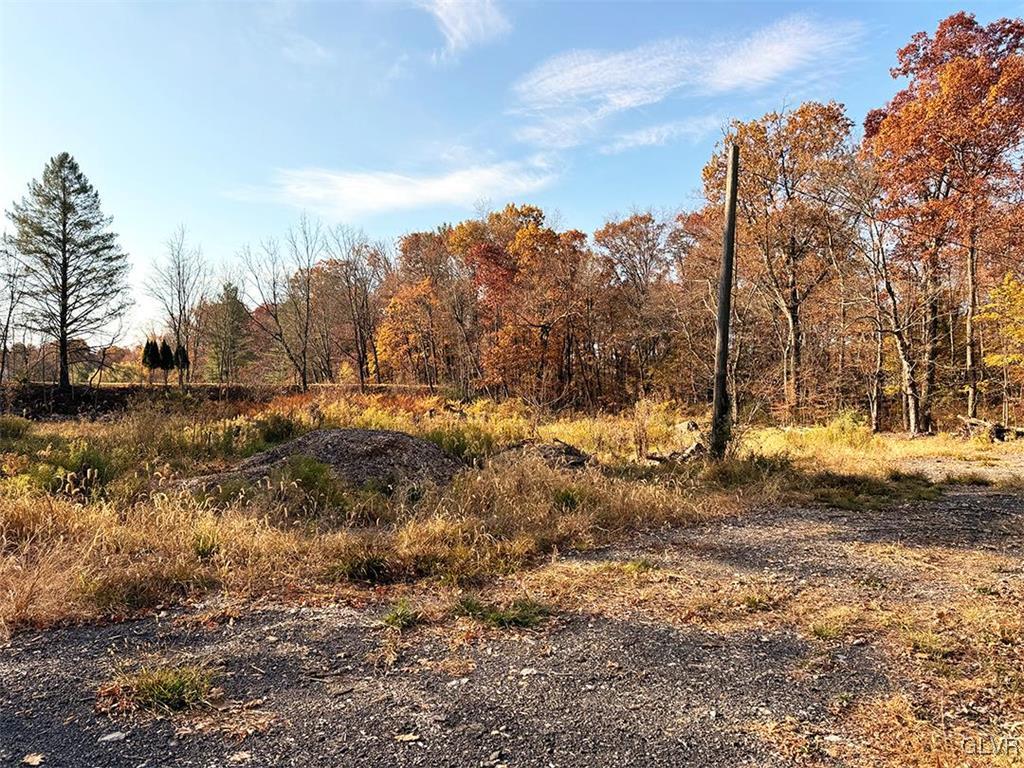 455 West Moorestown Road Nazareth, PA 18064 - Photo 6 of 11 a view of a yard with a tree