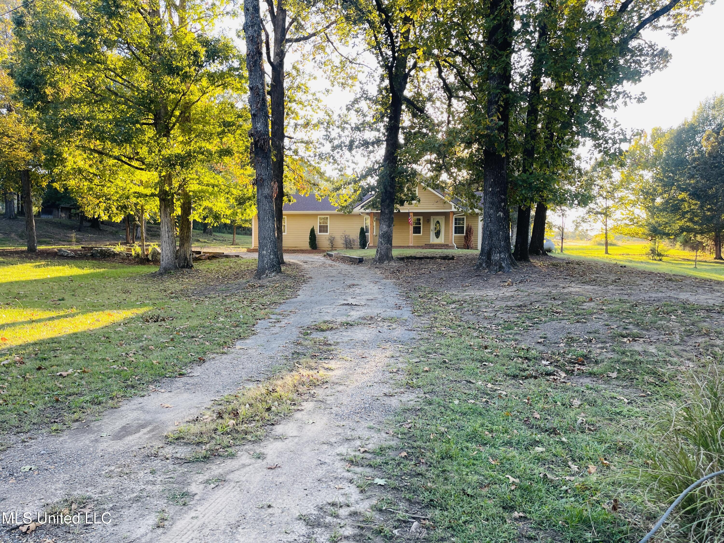 903 Shinault Road Byhalia, MS 38611 - Photo 4 of 42 IMG_3375