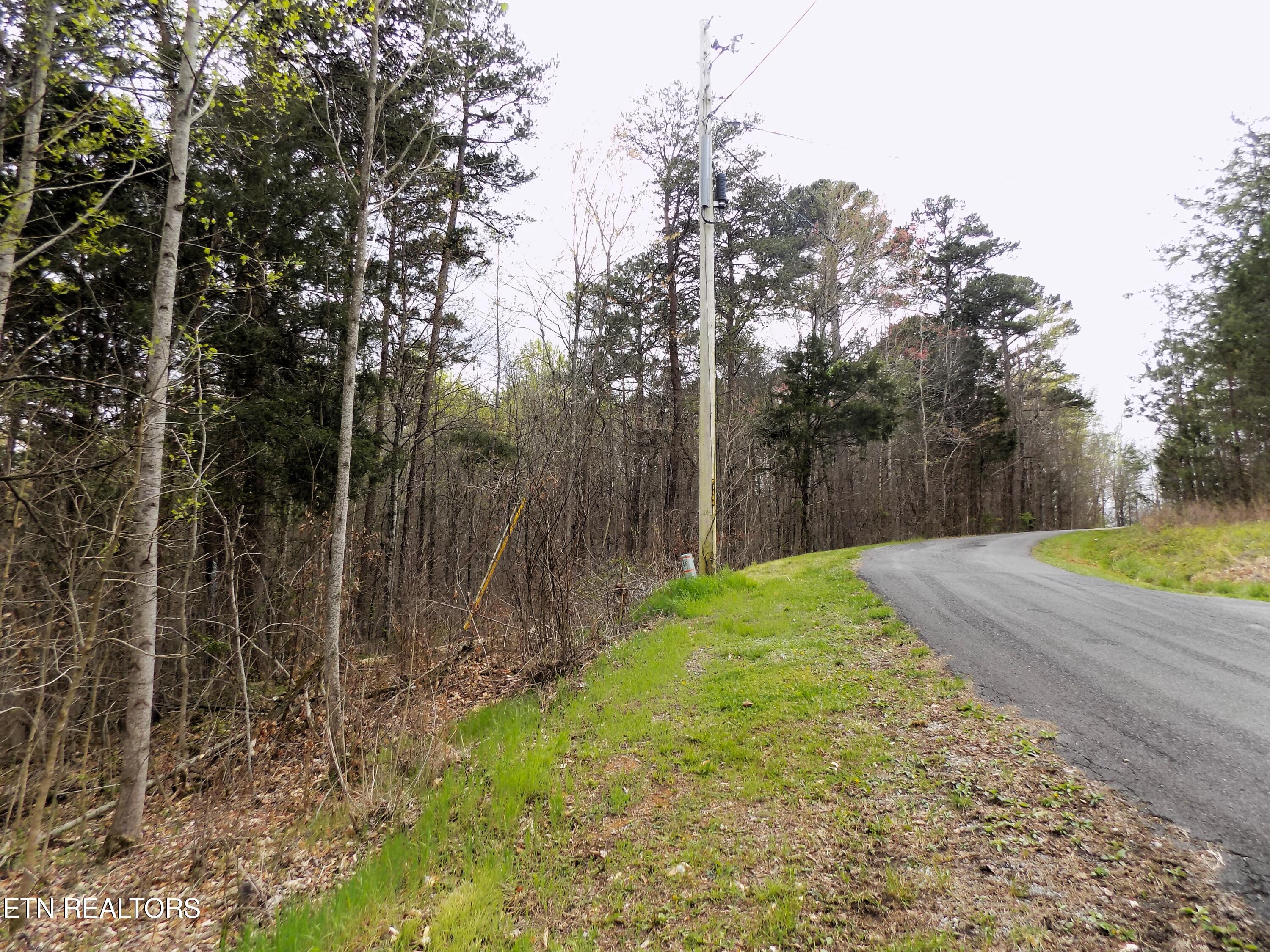 067.03 Alpha Road Newport, TN 37821 - Photo 11 of 12 Road Frontage