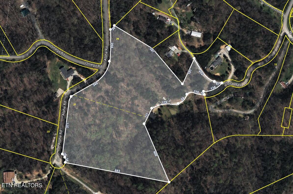 067.03 Alpha Road Newport, TN 37821 - Photo 12 of 12 Aerial Map