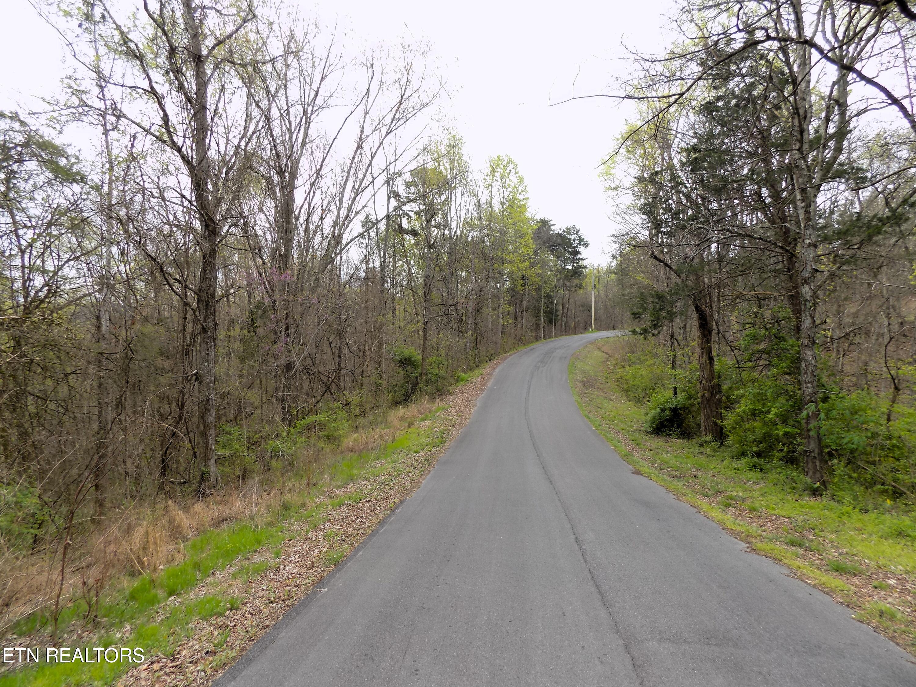 067.03 Alpha Road Newport, TN 37821 - Photo 4 of 12 Road Frontage