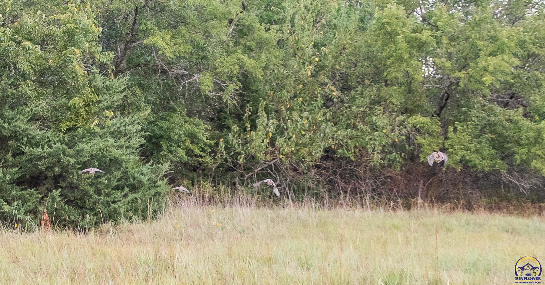 0 Southwest Tawakoni Road Towanda, KS 67144 - Photo 24 of 34 Gallery Image 24