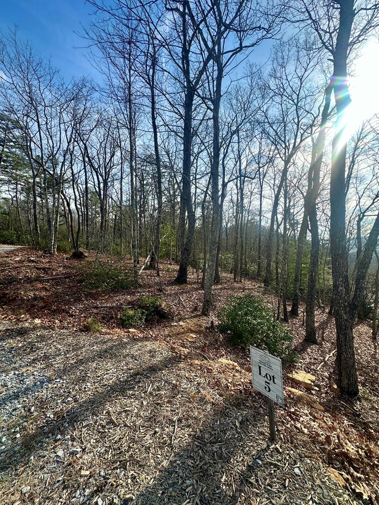Lot 5 Blue Horizon Drive Blue Ridge, GA 30513 - Photo 18 of 18 Gallery Image 18