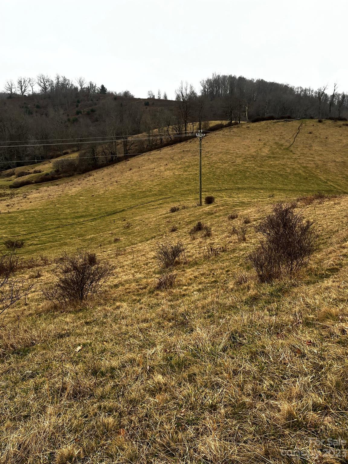Tbd Poplar Grove Road Boone, NC 28607 - Photo 37 of 48