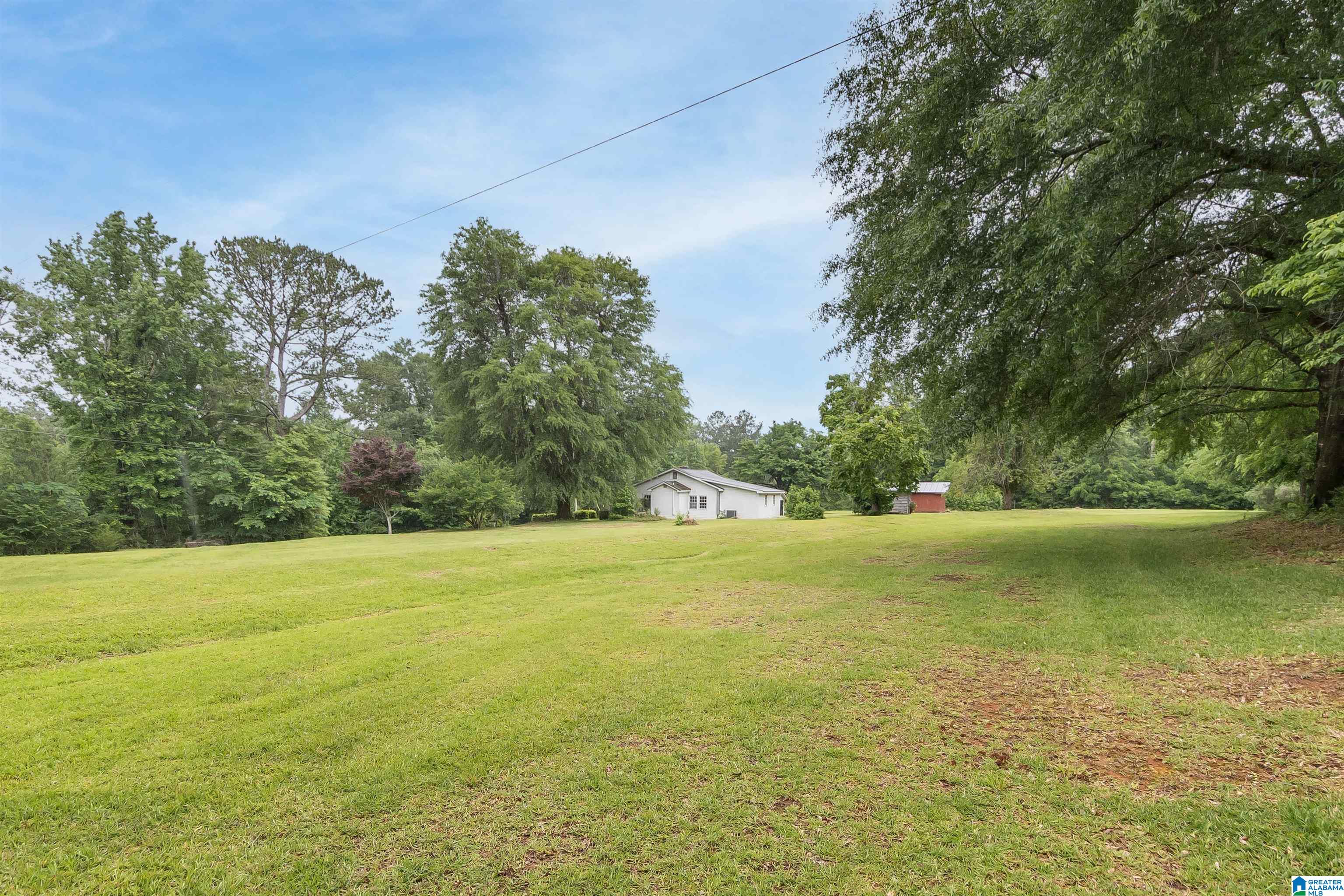 12053 Brant Ward Road Cottondale, AL 35453 - Photo 2 of 50