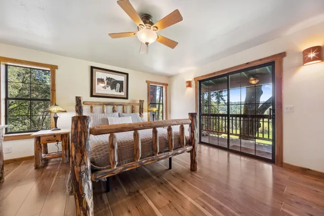 a view of a garden with a tree