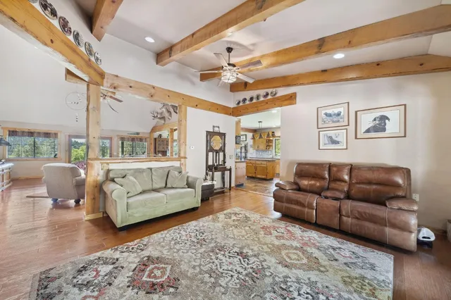 a view of a garden with a tree