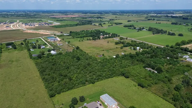 an aerial view of huge green field with lots of green plants in it