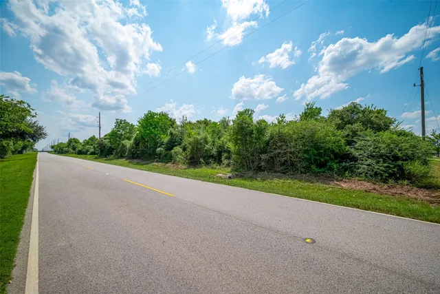 a view of a big yard with palm trees