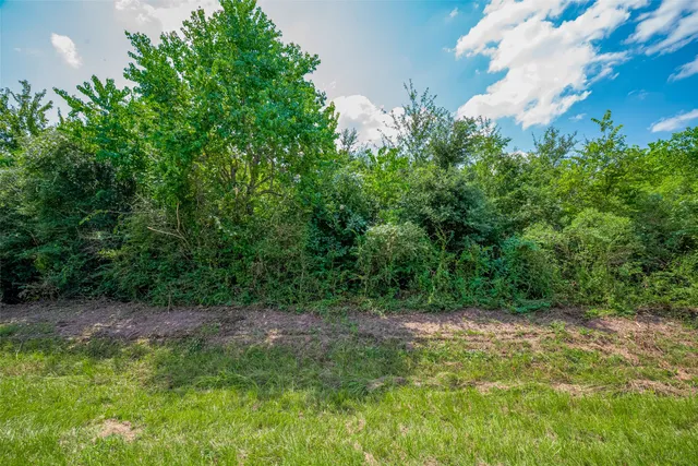a view of yard with green space