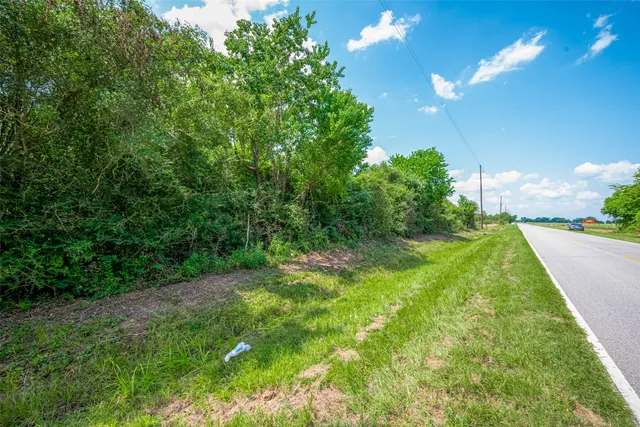 a view of a yard with a tree