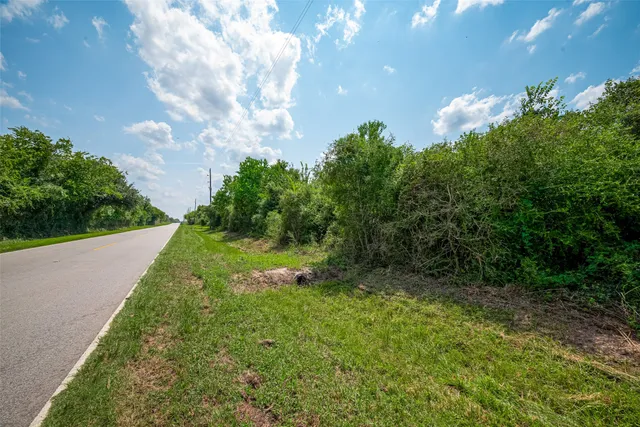 a view of a big yard with potted plants and big trees