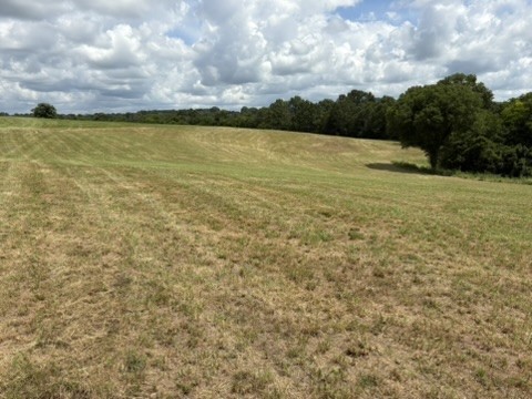 1505 Lower Helton Road Alexandria, TN 37012 - Photo 3 of 5 a view of an ocean view