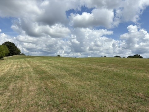 1505 Lower Helton Road Alexandria, TN 37012 - Photo 4 of 5 a view of a lake
