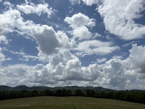1505 Lower Helton Road Alexandria, TN 37012 - Photo 5 of 5 a view of house and city