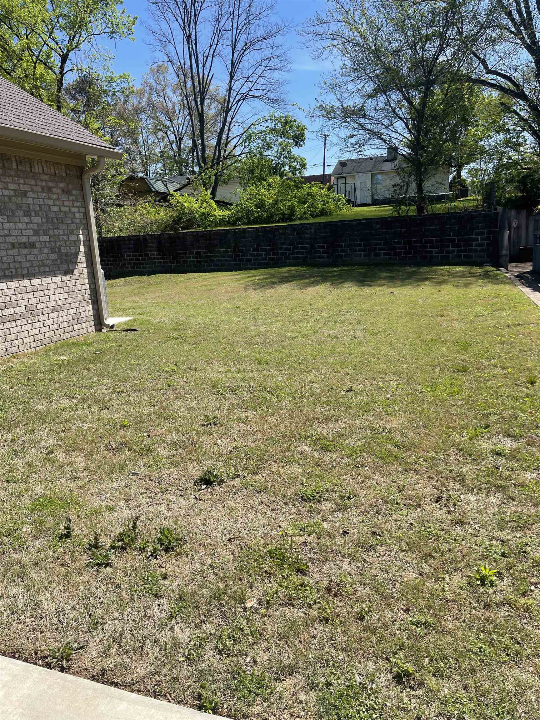 210 Church Street Ripley, TN 38063 - Photo 3 of 21 View of yard