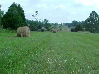 2699 Crowe Ridge Road Winchester, KY 40391 - Photo 19 of 22 Photo 19