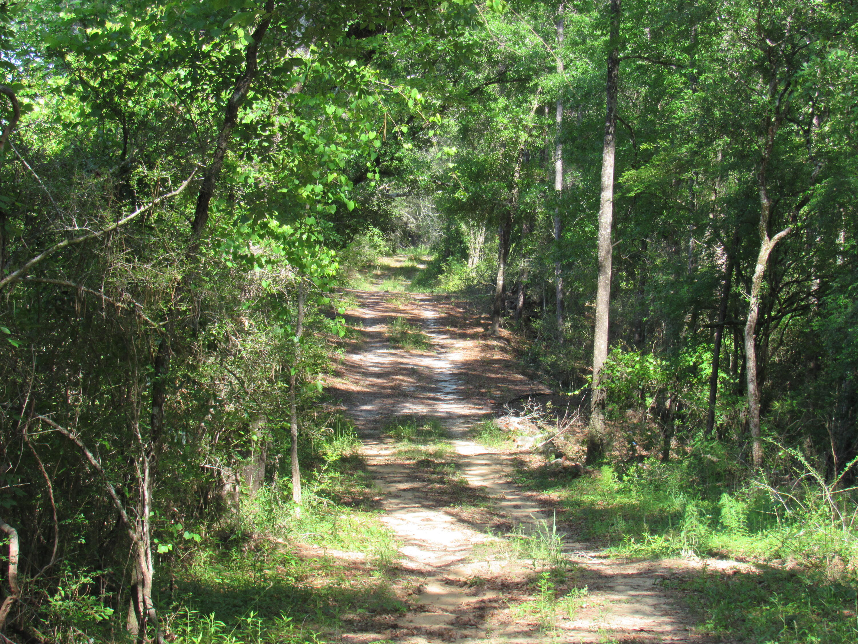 0 Andeus Road, Unit 40 ACRES Westville, FL 32464 - Photo 2 of 9 C613E6E9-2415-4516-A2DE-2361B829352D