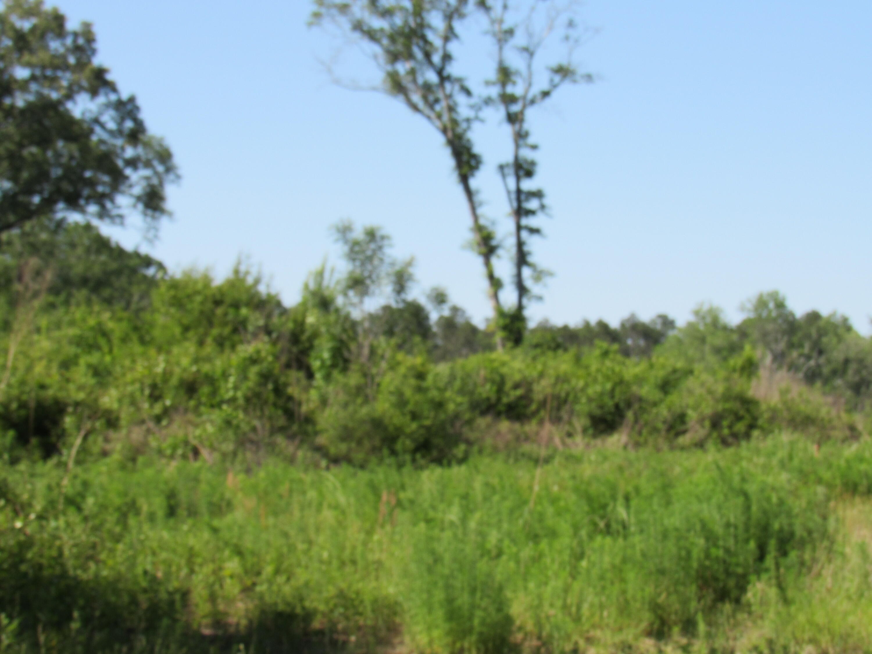 0 Andeus Road, Unit 40 ACRES Westville, FL 32464 - Photo 3 of 9 54FE52B9-D7D0-42AB-B07F-1EC28E040029