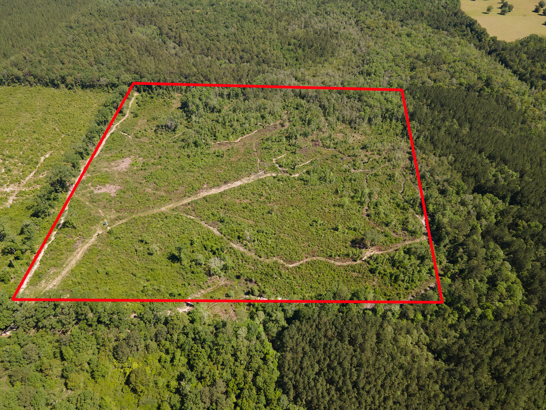 0 Andeus Road, Unit 40 ACRES Westville, FL 32464 - Photo 4 of 9 DJI_0264