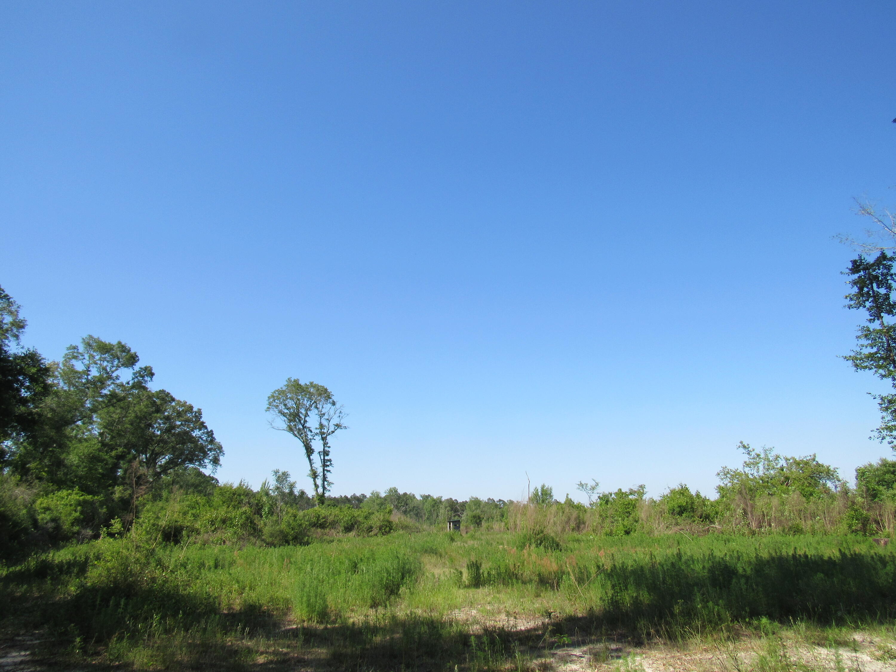 0 Andeus Road, Unit 40 ACRES Westville, FL 32464 - Photo 5 of 9 F4B409D7-2591-4EB5-B9B1-3F0D7B4879D2