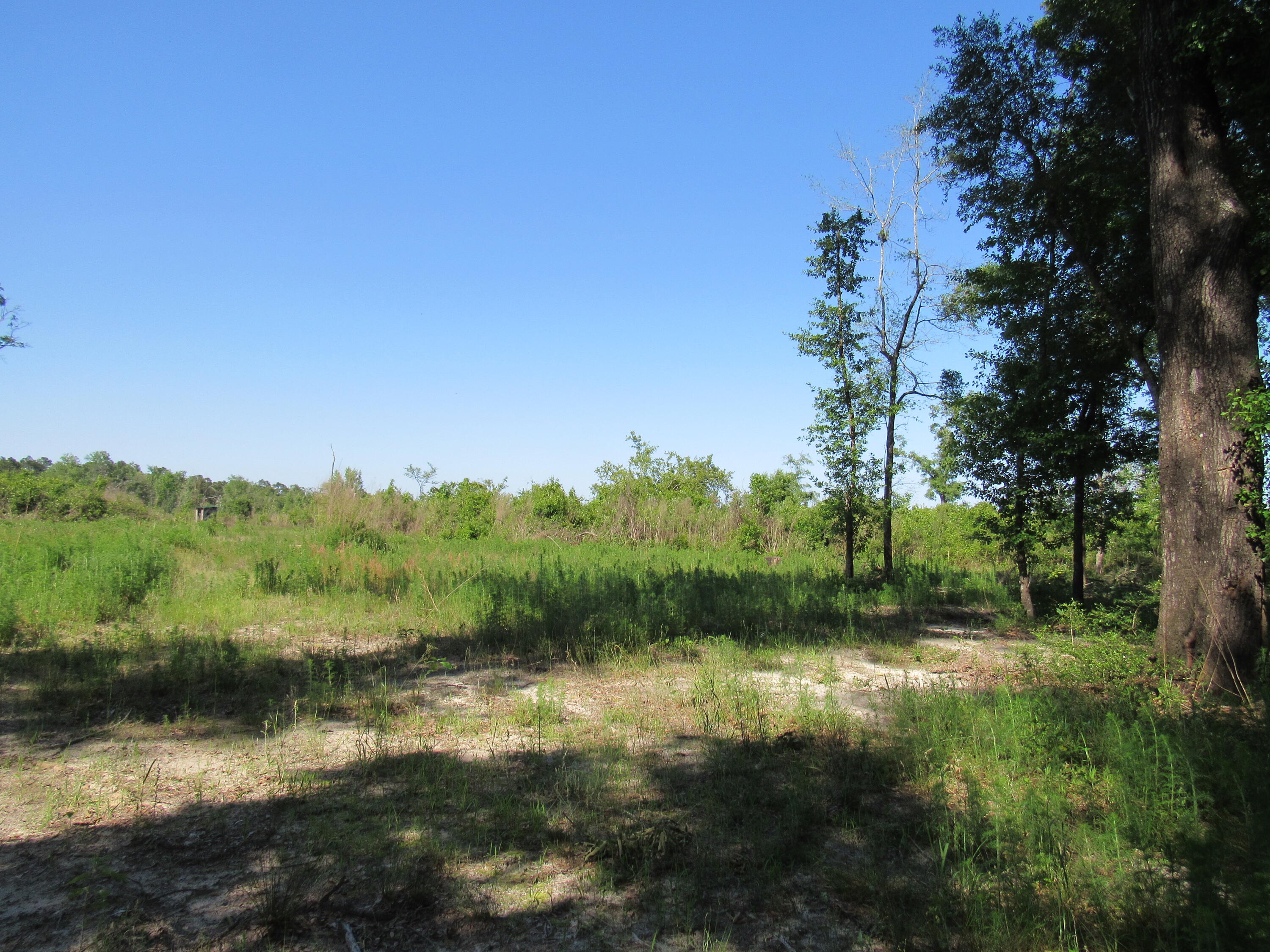0 Andeus Road, Unit 40 ACRES Westville, FL 32464 - Photo 6 of 9 F0156A00-2776-4294-99F3-27E48D4631D1