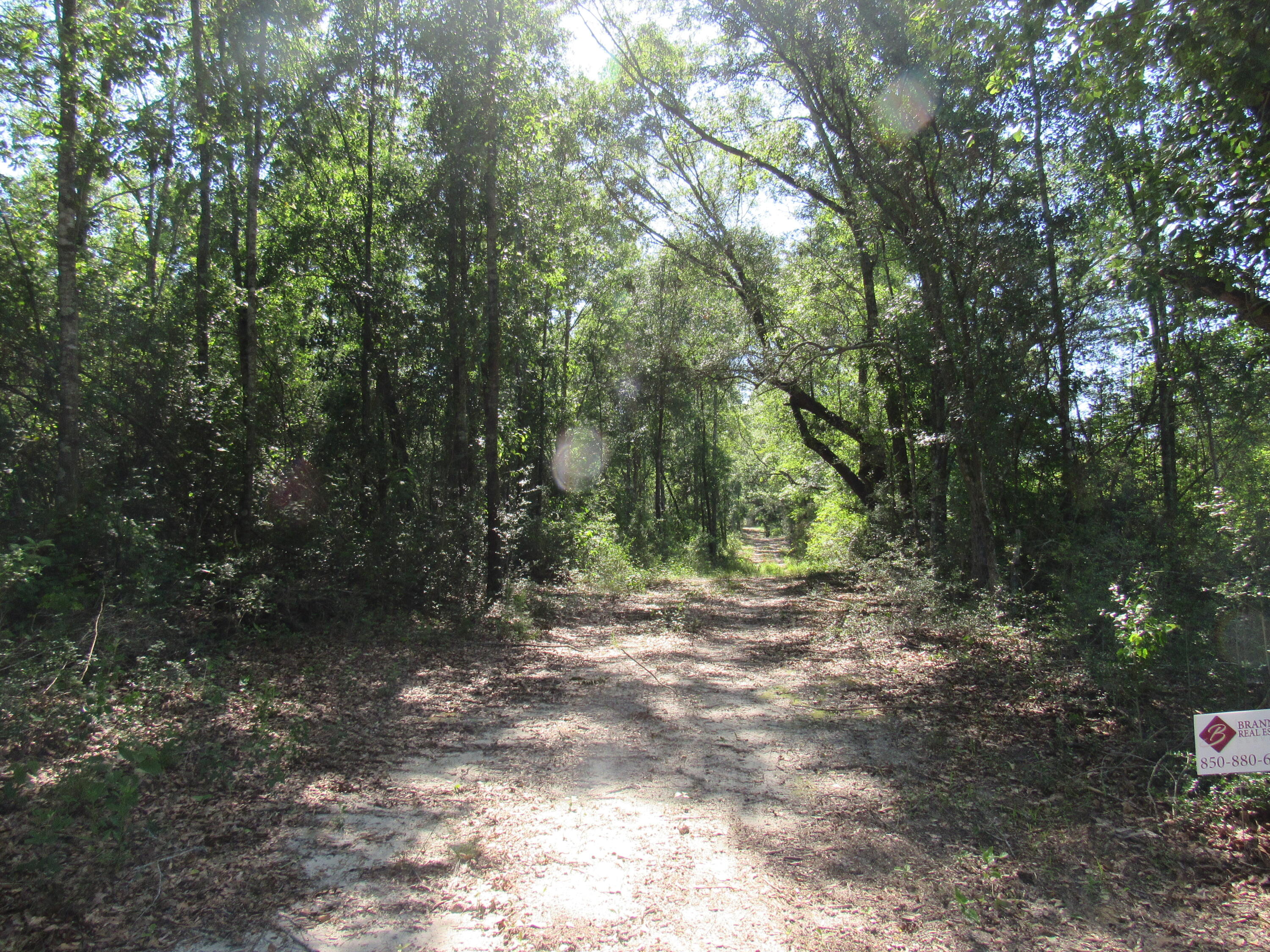 0 Andeus Road, Unit 40 ACRES Westville, FL 32464 - Photo 7 of 9 CCDD8D49-837F-46BF-9DFF-07B179D2B82B