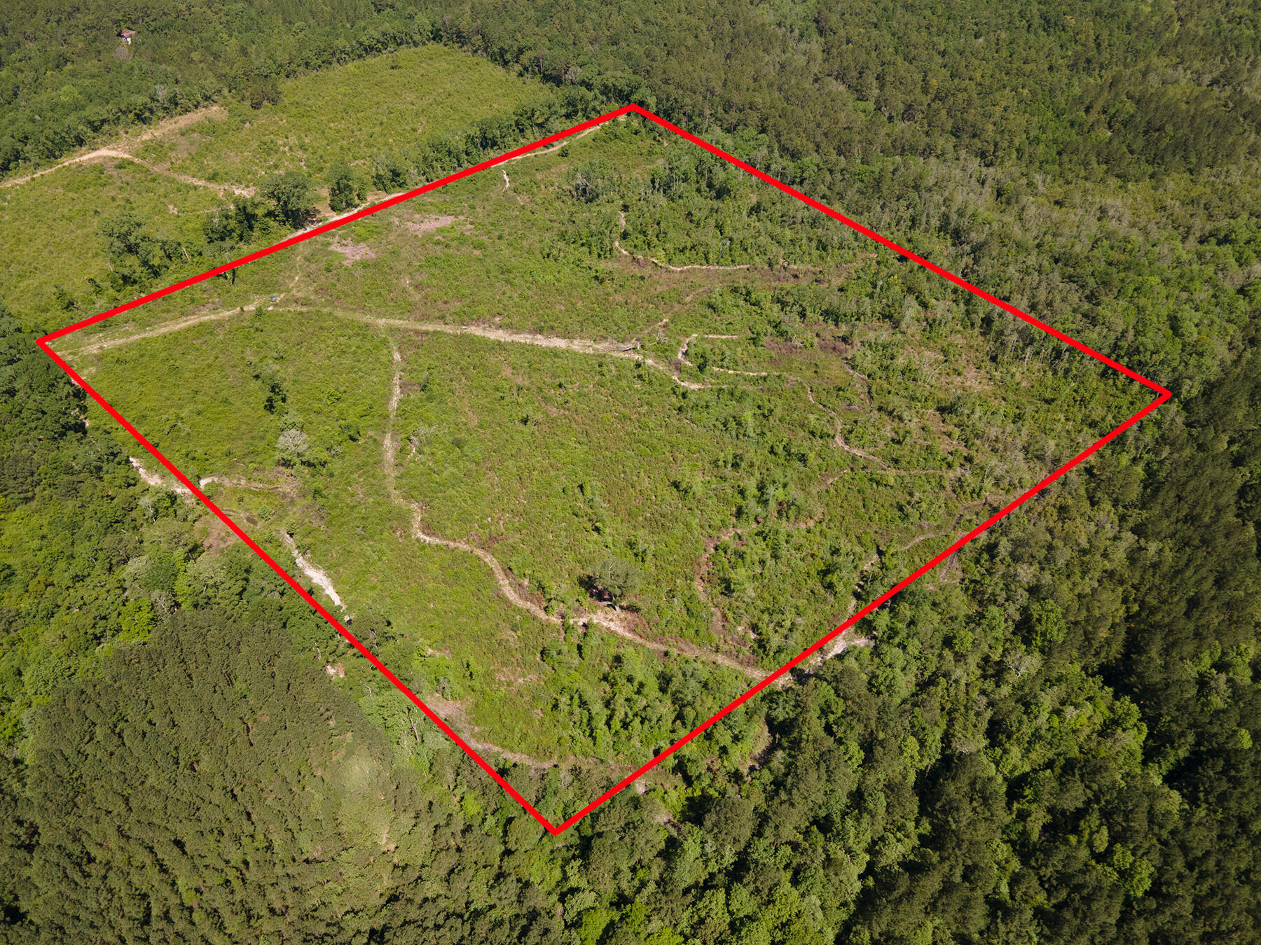 0 Andeus Road, Unit 40 ACRES Westville, FL 32464 - Photo 8 of 9 DJI_0265