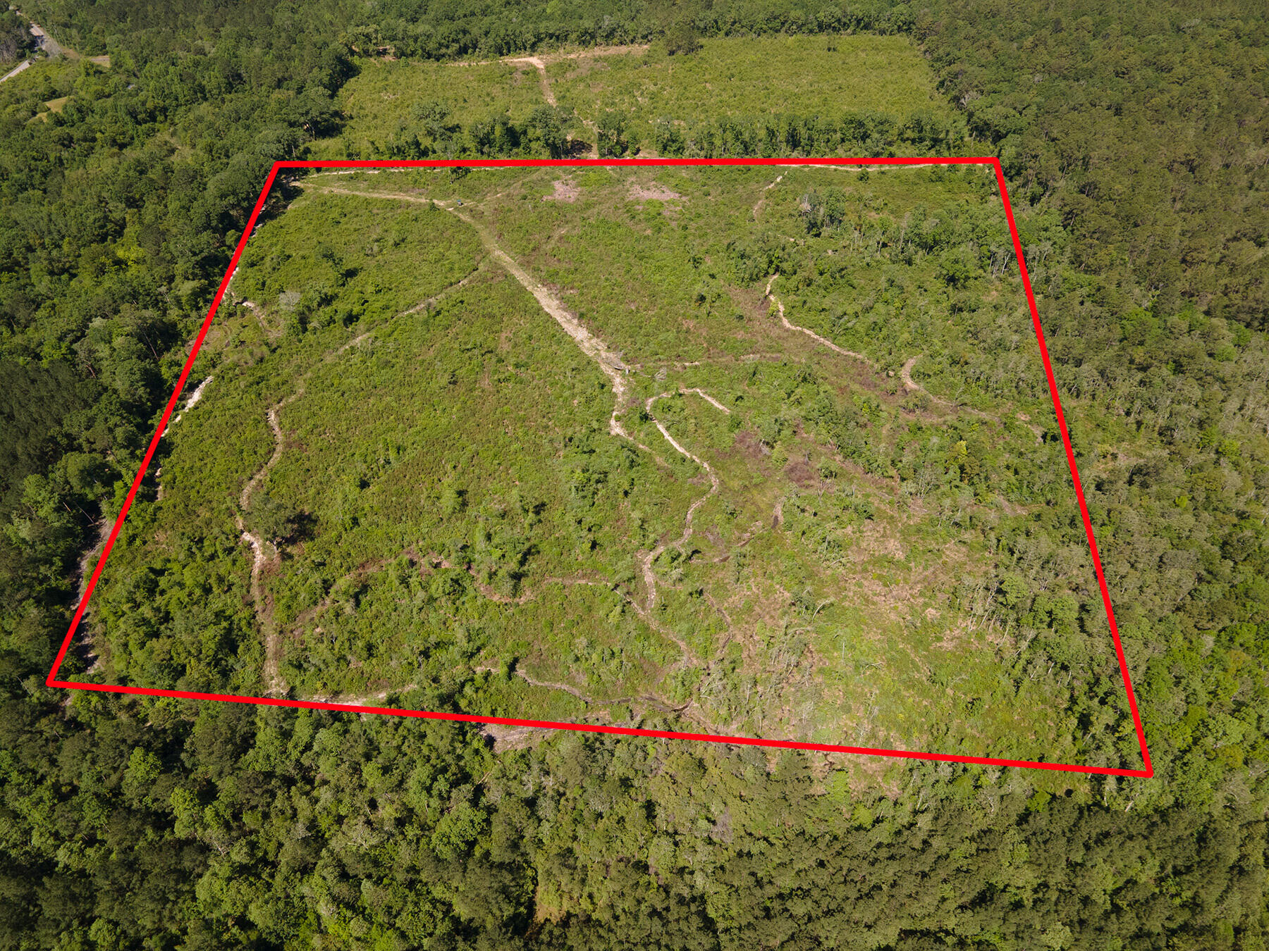 0 Andeus Road, Unit 40 ACRES Westville, FL 32464 - Photo 9 of 9 DJI_0266
