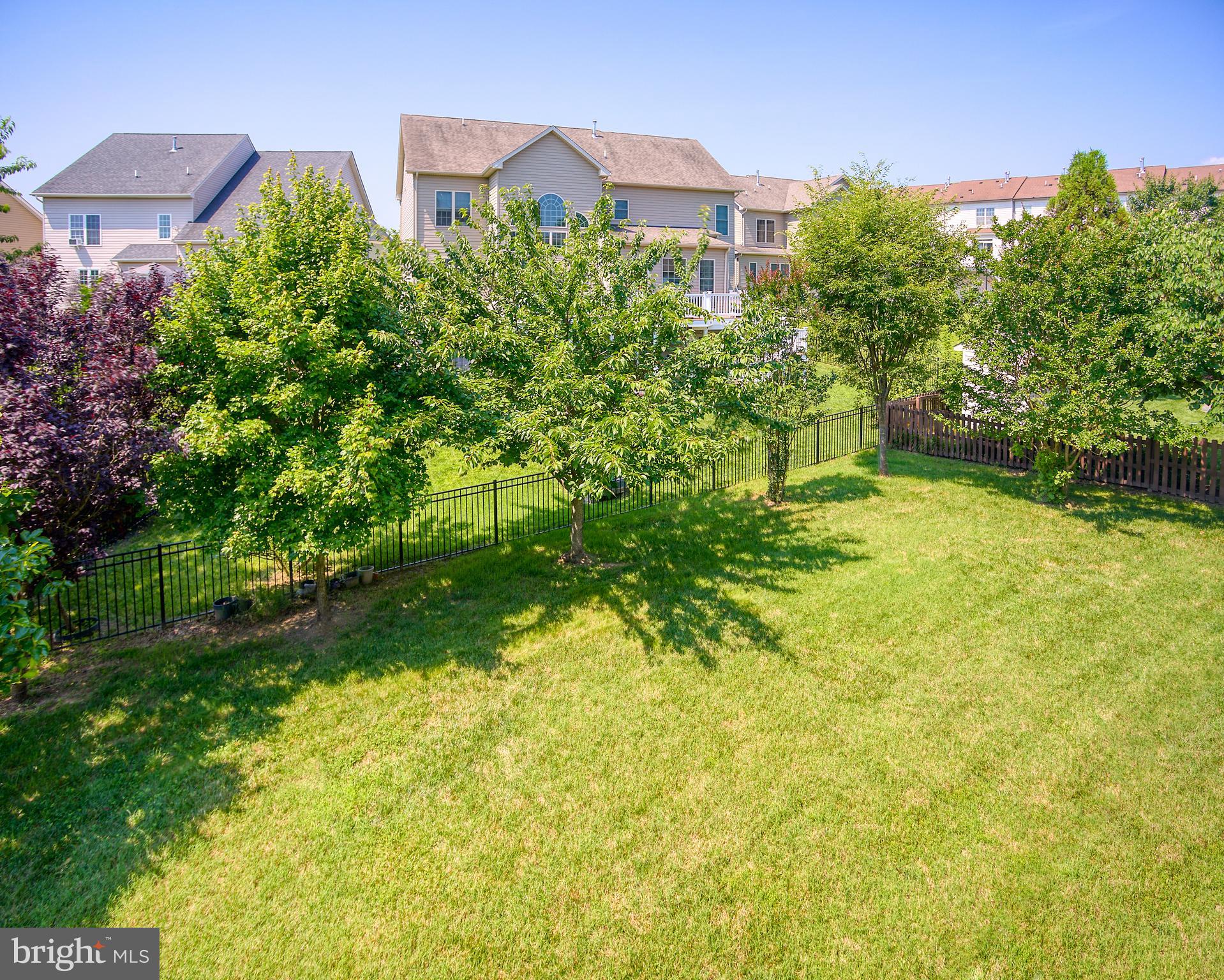 13336 Redspire Drive Silver Spring, MD 20906 - Photo 47 of 66 a view of a big yard with plants and large trees