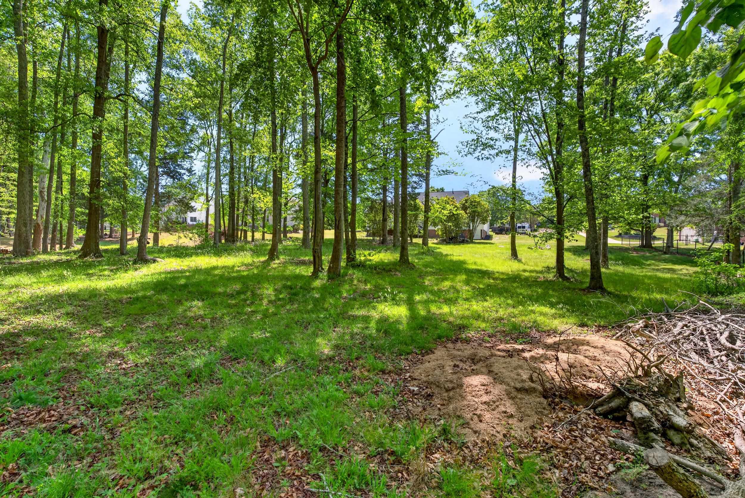551 Moores Crossing Roebuck, SC 29376 - Photo 36 of 45