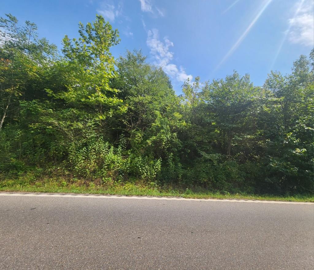 14 Douglas Dam Road Kodak, TN 37764 - Photo 1 of 4 Gallery Image 1