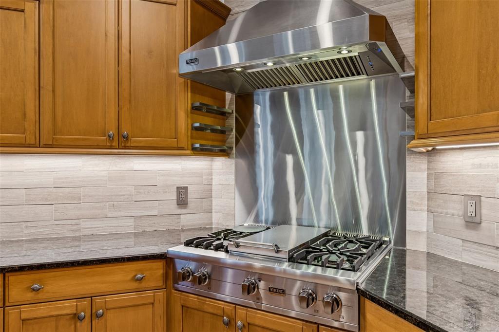 1130 Anclote Road Tarpon Springs, FL 34689 - Photo 53 of 95