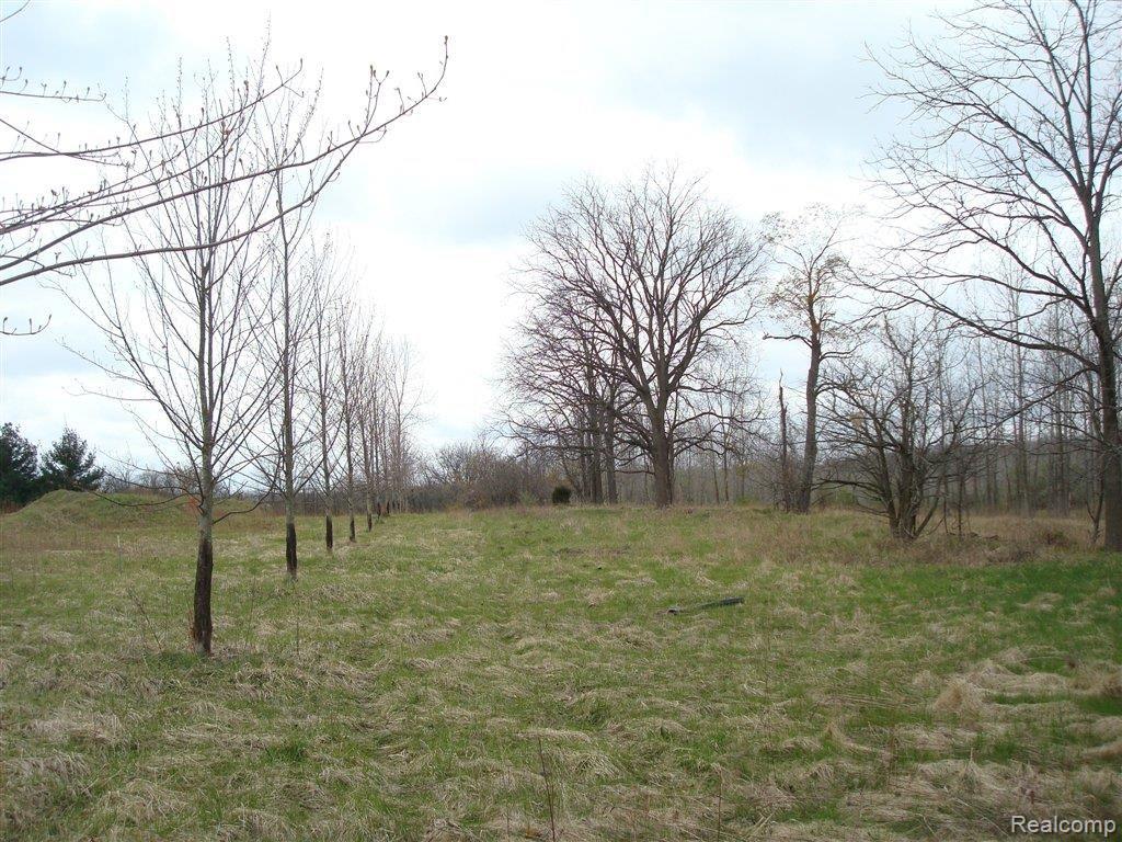 0 Hunters Creek Rochester, MI 48306 - Photo 6 of 7 Site+View+To+Road.JPG