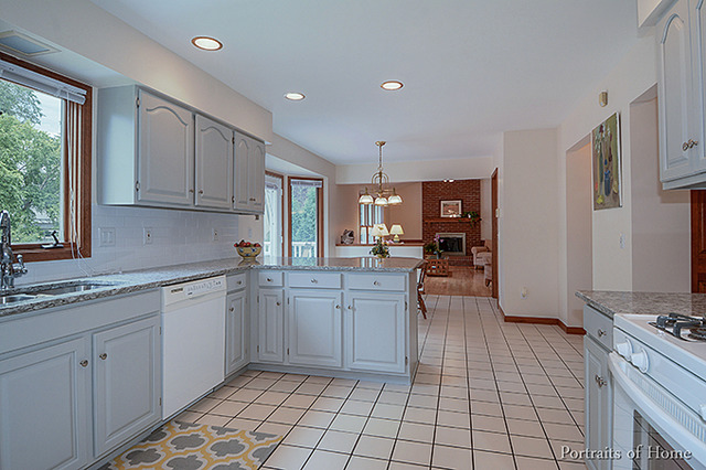 1767 Denison Road Naperville, IL 60565 - Photo 5 of 25