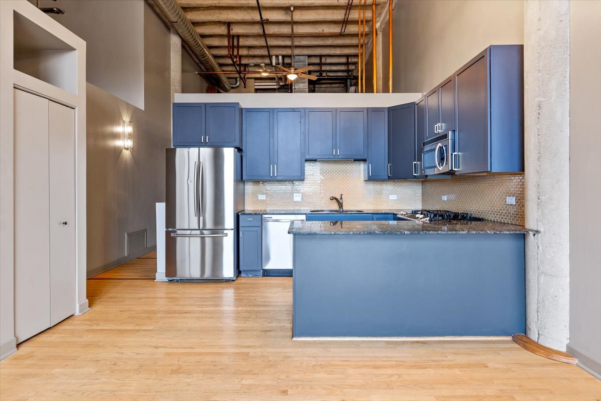 2545 South Dearborn Street, Unit 331 Chicago, IL 60616 - Photo 8 of 33