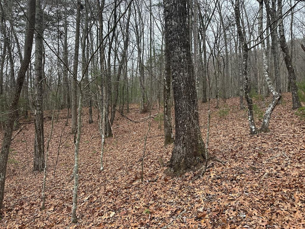 0 Marrestop Road Murphy, NC 28906 - Photo 2 of 14