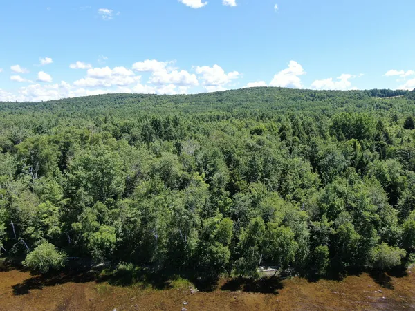 $20,000 | Lot 6 Woodland Ridge Road, Danforth, ME 04424