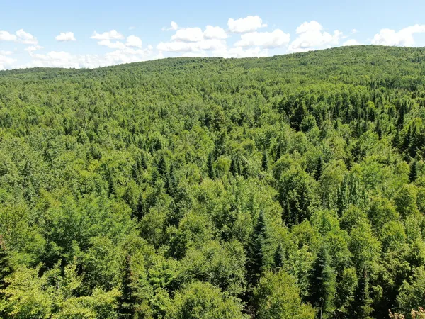 $20,000 | Lot 6 Woodland Ridge Road, Danforth, ME 04424