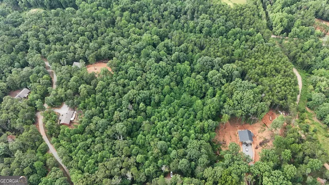 an aerial view of residential house with outdoor space and trees all around