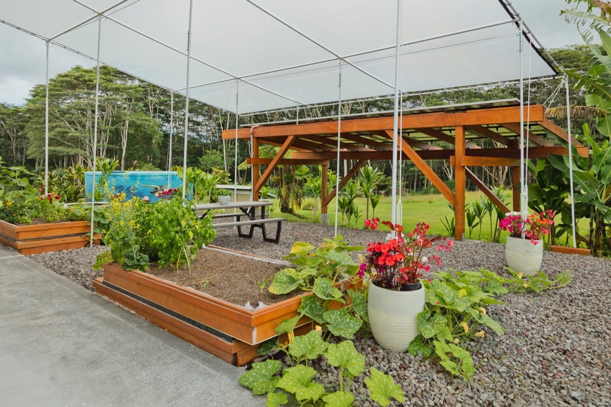17-3926 Enos Road Mountain View, HI 96771 - Photo 21 of 30 a view of outdoor space with sitting area