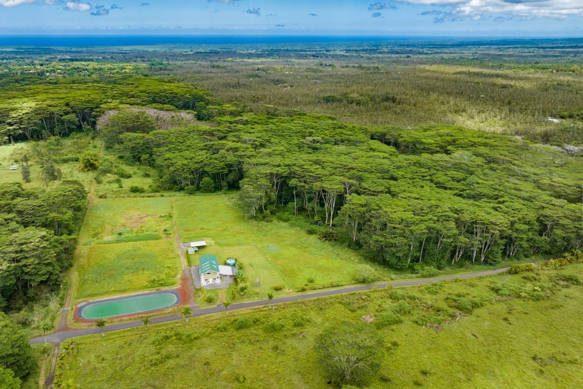 17-3926 Enos Road Mountain View, HI 96771 - Photo 4 of 30