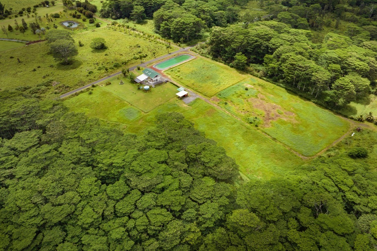 17-3926 Enos Road Mountain View, HI 96771 - Photo 5 of 30 a view of a large yard with green space