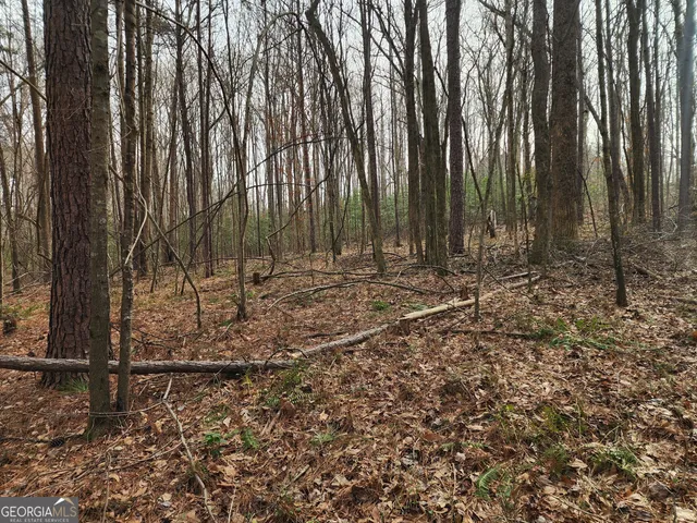 a view of outdoor space with wooden fence